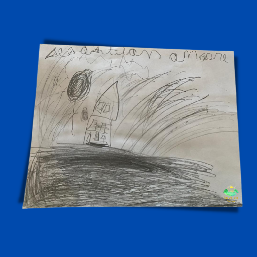 Fiona A Través De Los Ojos De Los Niños #426